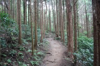 迎場コース序盤