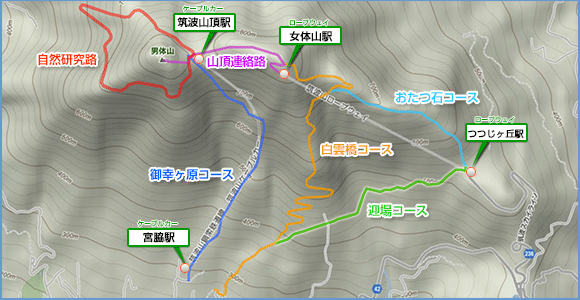 迎場コース