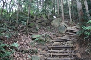 御幸ヶ原コース序盤