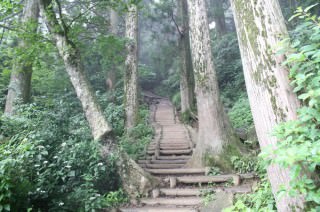 御幸ヶ原コース最難関