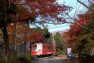秋の紅葉風景