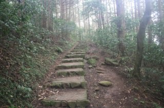 迎場コース終盤