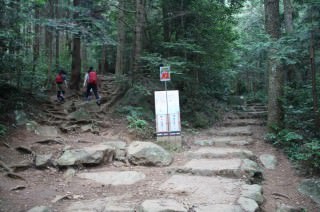 酒迎場分岐