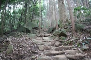 コース中盤
