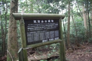 迎場案内板
