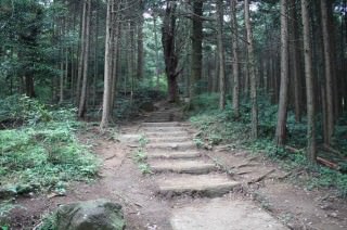 コース序盤
