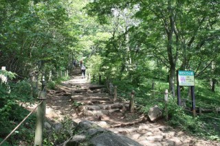 御幸ヶ原から女体山登山道