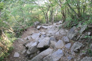 男体山登山道を上から
