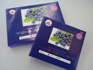 つくば市は全国でも有数のブルーベリーの産地