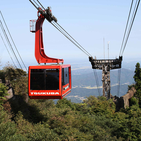 風景画【筑波山】F10号 Amazon.co.jp: 風景画筑波山F10号 : ホビー