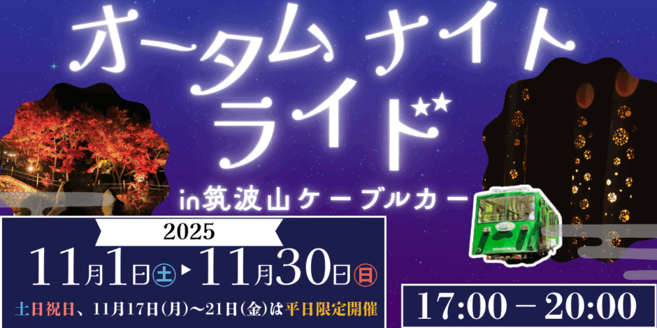 夜間HP(C)